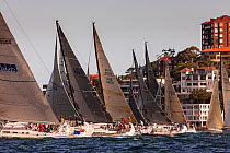 Yachts racing in the Sydney Harbor, New South Wales, Australia, November 2012. All non-editorial uses must be cleared individually.