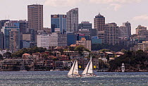 Two yachts racing in the Sydney Harbor in Sydney, New South Wales, Australia, November 2012. All non-editorial uses must be cleared individually.
