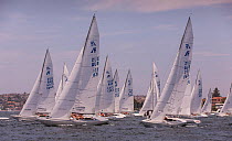 Sailboats racing in the Sydney Harbor, New South Wales, Australia, November 2012. All non-editorial uses must be cleared individually.