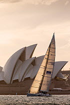 Yacht sailing past the Sydney Opera House at dusk, New South Wales, Australia, November 2012. All non-editorial uses must be cleared individually.