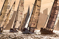 Yachts racing at dusk in the Sydney Harbor in Sydney, New South Wales, Australia, November 2012. All non-editorial uses must be cleared individually.