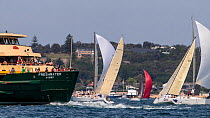 Sailboats racing past a ferry in Sydney Harbour, New South Wales, Australia, October 2012. All non-editorial uses must be cleared individually.
