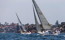 Sail boats racing in the Sydney Harbour, New South Wales, Australia, October 2012. All non-editorial uses must be cleared individually.