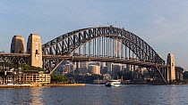 Sydney Harbour Bridge with ferry passing beneath, New South Wales, Australia, October 2012.