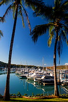 Boats moored in Hamilton Island Marina, Whitsunday Islands, Queensland, Australia, November 2012.