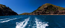 Wake of boat on coast of Hamilton Island, Whitsunday Islands, Queensland, Australia, November 2012.
