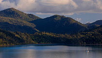 Hamilton Island, part of the Whitsunday Island group, Queensland, Australia. November 2012.