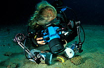 Female diver taking a picture of a shrimp (Periclimenes sp.) living in a sea pen (Pteroeides sp.) Philippines, Sulawesi Sea.