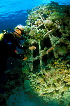 Diver with 'Barnacle', an artificial reef built in 1996 with a steel frame with a mild electrical current which encourages the growth of coral,  Ihuru Island, North Male Atoll, Maldives, Indian Ocean.