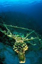 Diver with 'Lotus', an artificial reef built in 2001 with a steel frame with a mild electrical current which encourages the growth of coral,  Ihuru Island, North Male Atoll, Maldives, Indian Ocean. Sm...