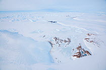Emperor penguin (Aptenodytes forsteri) colony staining sea ice, Prydz Bay, East Antarctica, November.