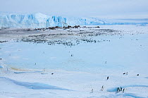 Emperor penguin (Aptenodytes forsteri) colony, Amanda Bay, Prydz Bay, Ingrid Christensen Coast, East Antarctica, November.