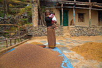 Mother with daughter amongst wheat separated from chaff, near the mountain village of Ghandruk, Modi Khola Valley, Himalayas, Nepal. November 2014.