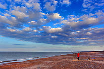 Angler fishing for Cod from Cley beach, Norfolk, England, UK September 2014.