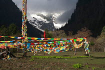 Prayer flags and mountain landscape, Kawakarpo Mountain,  Meri Snow Mountain National Park, Yunnan Province, China. May 2010.