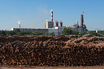 Fibre Excellence mill producing paper pulp, Tarascon, Provence, France, June.
