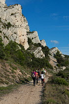 Hiking in the Alpilles, Arles, France, October.