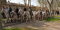 Riders herding horses to their pasture, a tradition known as 'roussataio', Camargue, France, March, 2014.