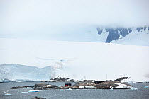 Goudier Island, Port Lockroy, Antarctica, January.