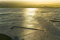 Aerial view of Steart Marshes Wildfowl and Wetland Trust, agricultural land transformed into wetland reserve, at sunrise, Somerset, UK, February 2015.   This area has been allowed to flood by the WWT...