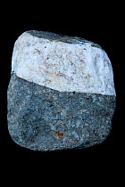Glacial erratic stone made from quartz and basalt, UK, January.