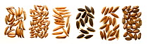 Different varieties of rice seeds, showing variation in shape and colour morphology.