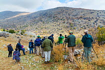 Birdwatching group, Mount Hermon, Israel, November, 2014.