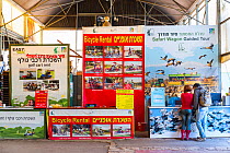 Stalls renting bikes and selling tours, Hula Valley, Israel, November.