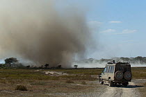 Massive dust devil rakes the dry shoreline of Lake Ndutu, Ngorongoro Conservation Area, Tanzania.