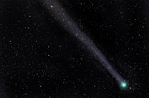 Comet Lovejoy, C/2014 Q2,  Taken from Colorado, USA. January 22 2015.