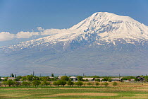 Snow covered Mount Ararat in Turkey, seen from Eriwan, Armenia, May.