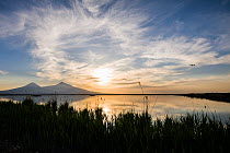 Armash fishponds at sunset with Snow covered Mount Ararat (right) and Lesser Snow covered Mount Ararat (left), Armenia, May.