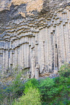 Basalt columns, Garni gorge, Armenia, May.