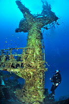 Diver exploring the wreck of the P29 patrol boat scuttled as an artificial dive site in August 2007. Wreck covered in algae and invertebrates and surrounded by fish. Malta, Mediterranean Sea. June 201...