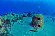 Concrete reef balls sunk to build an artificial reef, Philippines, Sulu Sea. August 2014.