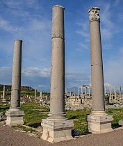 Ancient Roman ruins at  Perge (Perga), Turkey,  March 2006.