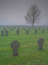 World War One German cemetery in fog, Chemin Des Dames, France, December 2014.