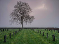World War One German  cemetery in fog, Chemin Des Dames, France, December 2014.