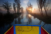 Boat on canal between chinampas at dawn, a wetland agricultural system. Xochimilco wetlands, Mexico City, January.