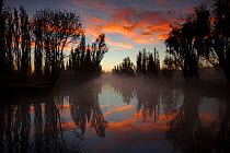 Canal between chinampas, a wetland agricultural system, at dawn, Xochimilco wetlands, Mexico City, November