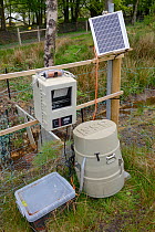 V-dam measuring station monitoring water flow and quality below a series of dams built by Eurasian beavers (Castor fiber) within enclosure, Devon Beaver Project, Devon Wildlife Trust, Devon, UK, May.