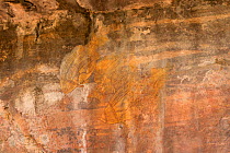 Aboriginal rock art of fish, Kakadu National Park, Northern Territory, Australia. December 2012.