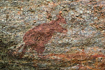 Aboriginal rock art of wallaby, Kakadu National Park, Northern Territory, Australia.