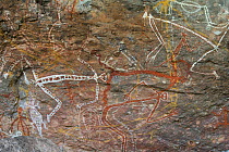 Aboriginal rock art from Kakadu National Park, Northern Territory, Australia. December 2012.