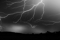 Lightning at night, Katherine, Northern Territory, Australia. January 2013