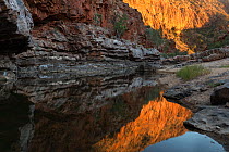 Reflections in waterhole, Ormiston Gorge, West MacDonnell Ranges Alice Springs, Northern Territory, Australia.