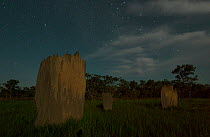 Magnetic termite mound (Amitermes) on starry night, Litchfield National Park, Northern Territory, Australia. December 2012.