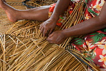 People weaving Kuta mats from fresh water reeds, Navakasobu Village, Macuata Province, Fiji, South Pacific.