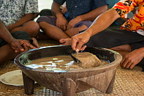 People preparing Kava, a sedative drink, during the annual soli, Mali Island in Ligau Levu Village, Mali Island, Macuata Province, Fiji, South Pacific. August 2013