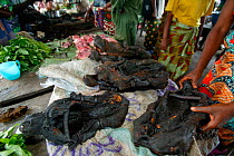 Smoked monkey for sale as bush meat at Mbandaka market, Democratic Republic of the Congo.